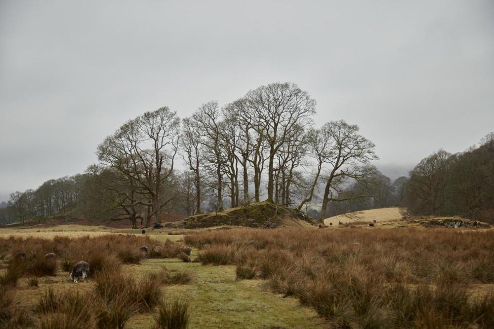 Little Nut Cottage Ambleside Bagian luar foto