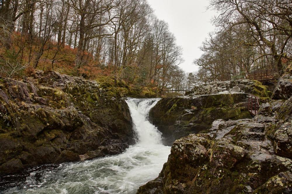 Little Nut Cottage Ambleside Bagian luar foto