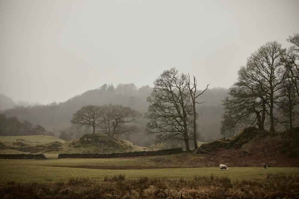 Little Nut Cottage Ambleside Bagian luar foto